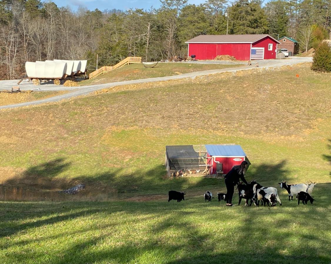 Smoky Hollow Outdoor Resort Covered Wagon Sevierville Exterior foto